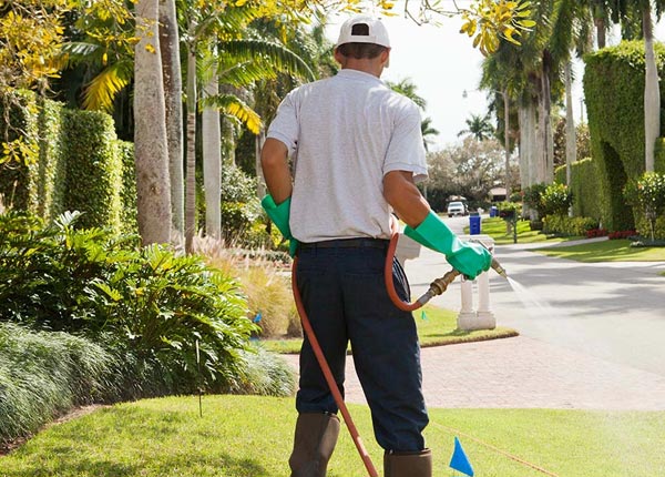 About Wardensville WV Pest Control